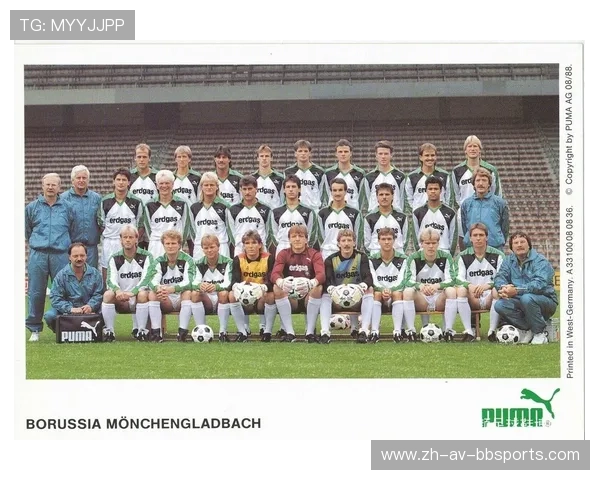 德甲球队绰号大全及各队文化背景解析（附图片）